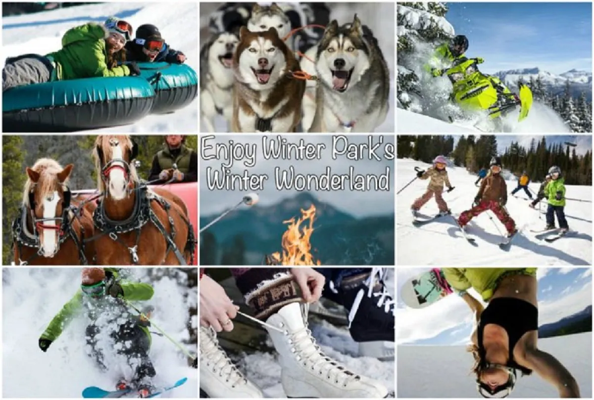 This vibrant outdoor winter scene features people tubing down snowy hills, a team of huskies for dog sledding, a snowmobile, a horse-drawn sleigh, children learning to ski, and families gathered by a campfire. The image radiates energy and joy, capturing a variety of signature winter adventures available nearby.